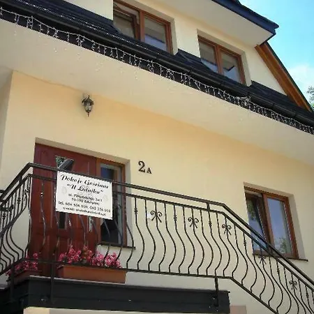 U Lutnika Centrum * 扎科帕内