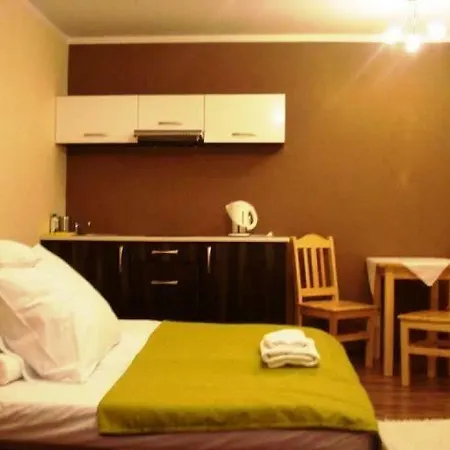 民宿 U Lutnika Centrum 扎科帕内